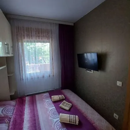 Apartment Stamenkovic *